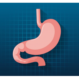 Gastro Intestinal
