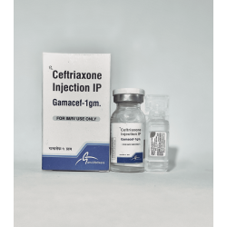 Gamacef-1gm Gamacef-1gm